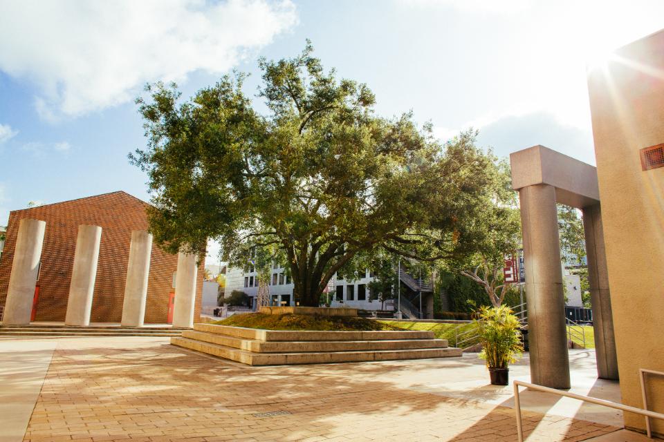 Academics Page Image - campus photo - Donovan